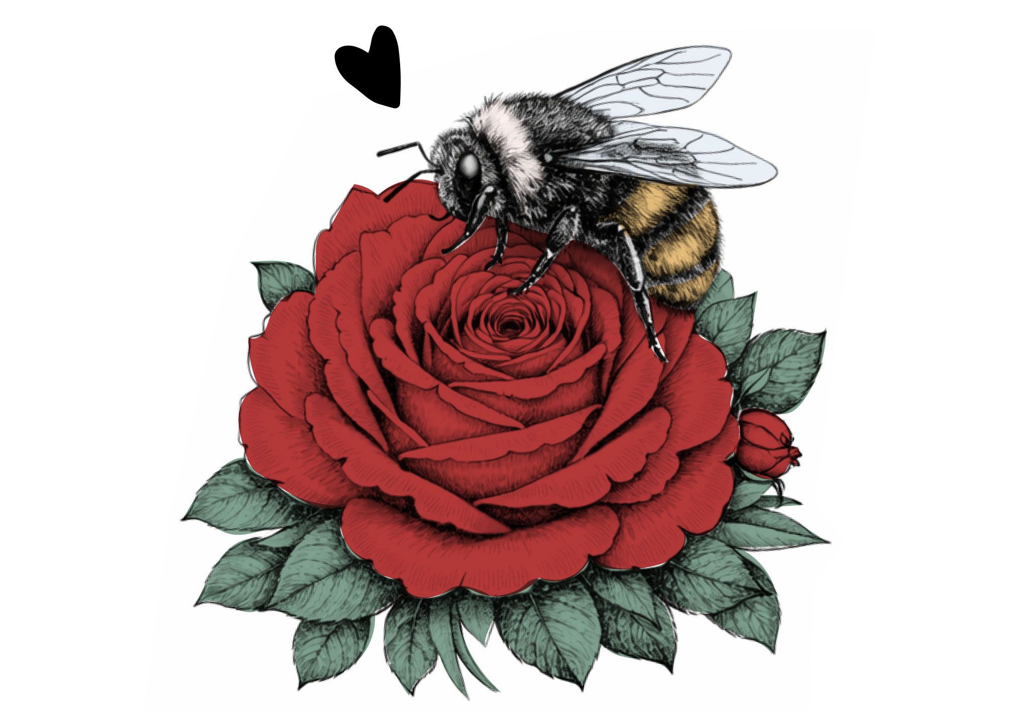 今年こそゴールインに近づける！やり方は簡単！結婚を引き寄せる最強風水